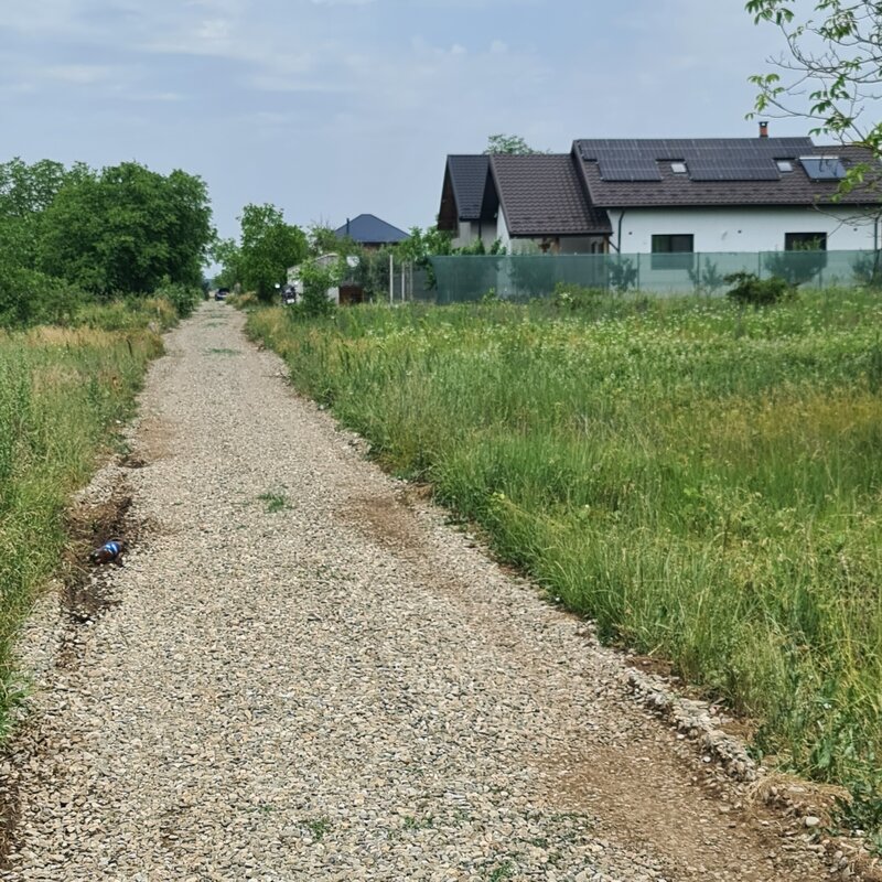 Dascalu Vand teren