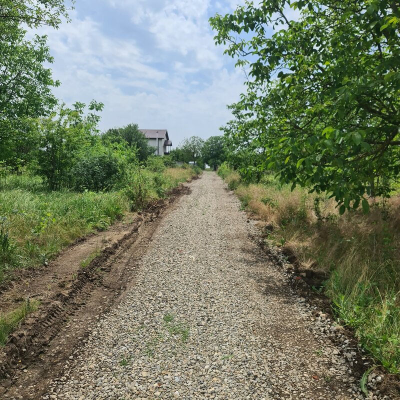 Dascalu Vand teren